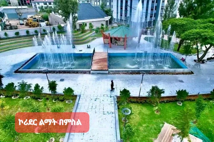 Office Design
